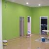 PINTURA