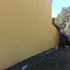 Pintura