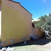 Pintura