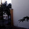 Pintura