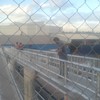 PINTURA EN PUENTE