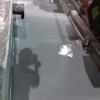 Piso como espejo