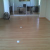 PISO LAMINADO PROFESSIONAL HAYA TABLA