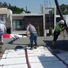 Placa preparacion