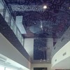 Plafond de vidrio con aplicaciones de corte de vinil a dos tonos