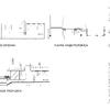 Planos Arquitectónicos