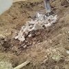 Primeras excavacones