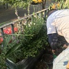 Proceso de colocación 2