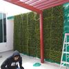 Proceso de instalación de muro verde