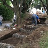 Proceso jardinn