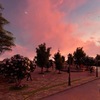 Proyecto Urbanista:  "Parque Juan Pablo Guelatao" La Paz, Baja California Sur.