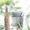 Remodelación casa Bosques de las Lomas CdMx.