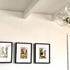 REMODELACION, DISEÑO DE INTERIORES  y DECORACION DE CASA RESIDENCIAL