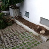 Retiro de plantas indeceables