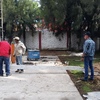 REUBICACION DE CANASTA
