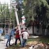 REUBICACION DE CANASTA