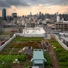 rooftop-farm