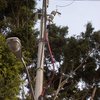 Transicion Electrica