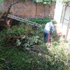 Troceado de poda de árbol