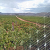 Valle de guadalupe
