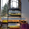 vegetable-garden-home-and-ga