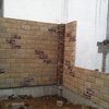 Ventana