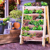 vertical-lettuce-planter-web21-1024x683