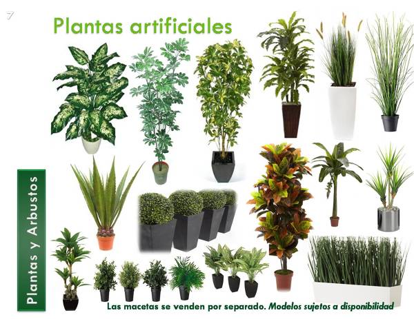 ¿De que medida es la planta que se ve abajo parte inferior derecha?