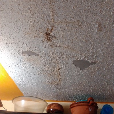 Impermeabilizar y reparar las goteras de la casa - Querétaro (Querétaro