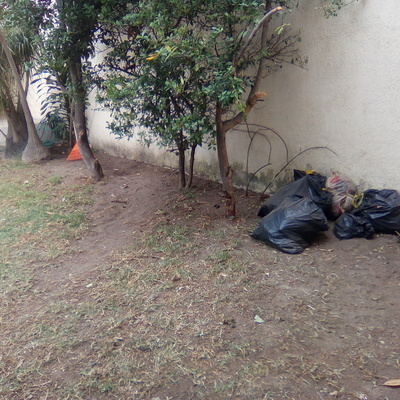 Instalar riego automático en jardín - Zapopan (Jalisco) | Habitissimo