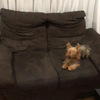Tapizado De Muebles