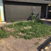 Otros Trabajos Jardinería
