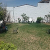 Mantener Jardín