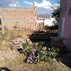 Ampliar Casa