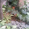 Otros Trabajos Jardinería