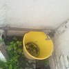Reparar Instalación Plomería