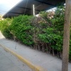 Construir Barda