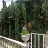 Otros Trabajos Jardinería