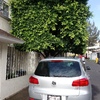 Otros Trabajos Jardinería