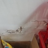 Construir Pared