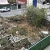 Otros Trabajos Jardinería