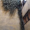 Otros Trabajos Jardinería