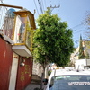 Otros Trabajos Jardinería