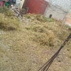 Retiro de Escombros