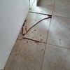 Colocar Loseta o Azulejo