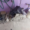 Otros Trabajos Albañilería