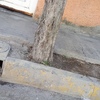Otros Trabajos Jardinería