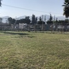 Otros Trabajos Jardinería