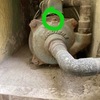Otros Trabajos Plomeros