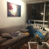Tapizado De Muebles